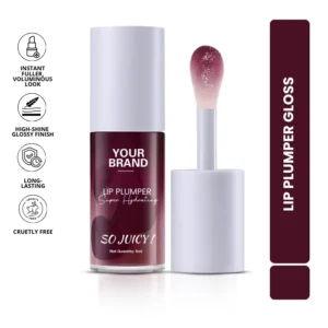 Lip Plumper Gloss Manufacturer